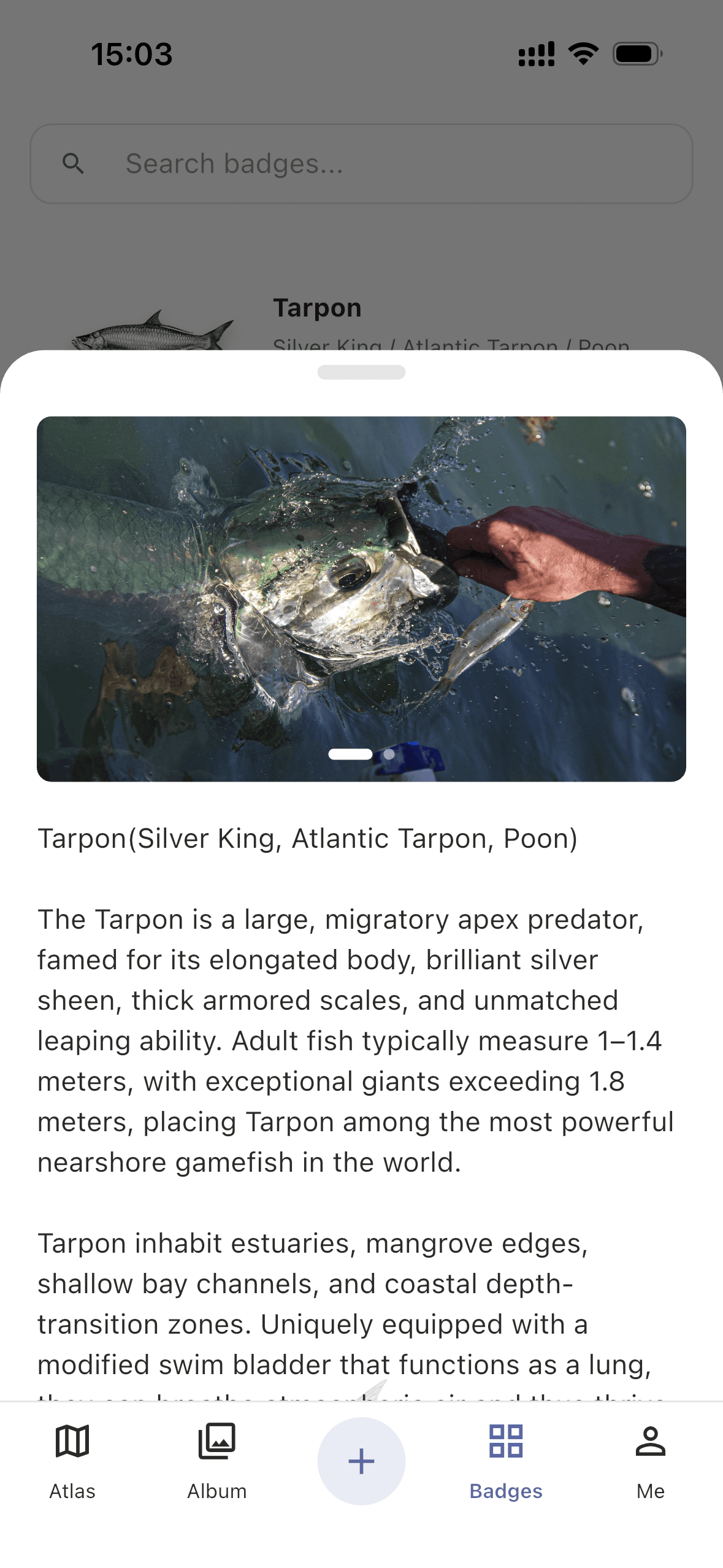 Titles & Encyclopedia 2