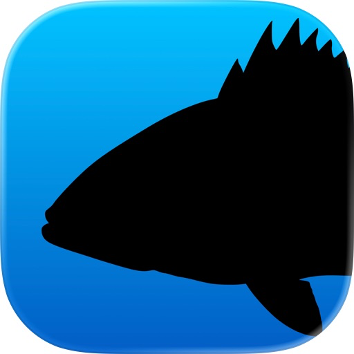 Fish Rules
