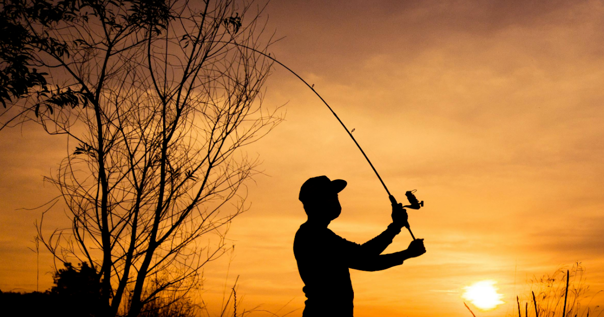 Fishing Regulations & Fish ID Apps: Fish Rules vs FishVerify